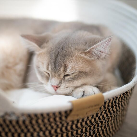 CheerPals Katzenbett mit Kissen, 47cm Waschbar Katzenkorb aus Baumwollseilen geflochten, zum Schlafen für Alle Katze, All Season Universal