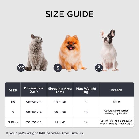 BEDSURE Katzenbett waschbar Flauschiges Hundebett - Ø 50 cm Rund Kissen, Katzenschlafplatz für Katzen Kleine Mittelgroße Hunde, Plüsch Katzenkissen Rund Kuschelbett Katzen Bettchen, Hellgrau