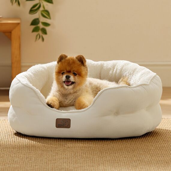 BEDSURE Katzenbett waschbar Katzen Bettchen - 63x53x20cm Katzenbett mit zweiseitig Innenkissen Katzenschlafplatz für Katzen oder kleine Hunde, weiß