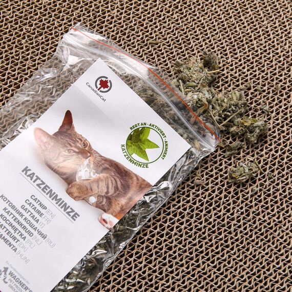 CanadianCat Company | Kratzbrett Orbit | walnussbraun | Kratzmöbel, Lounge für Katzen | Kratzpappe + Katzenminze | ca. 84 x 24 x 23cm