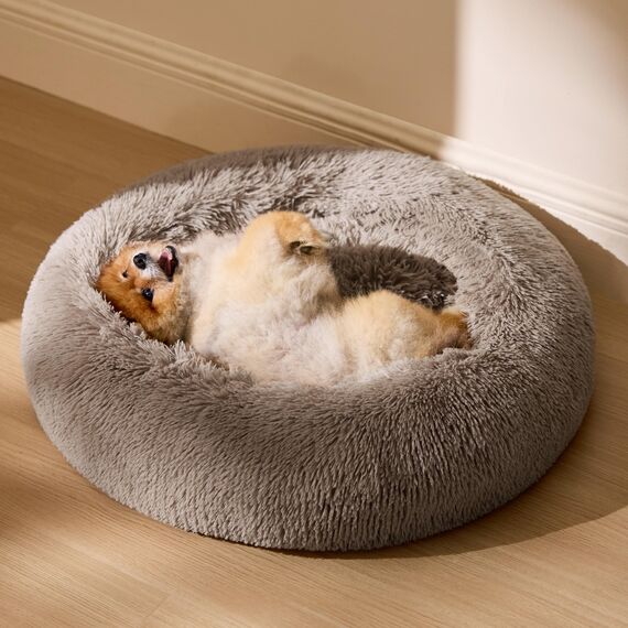 BEDSURE Hundebett waschbar Flauschiges Katzenbett - Ø 60 cm Katzenschlafplatz für Katzen und kleine Hunde, plüsch Katzenkissen rund Kuschelbett, Kamel
