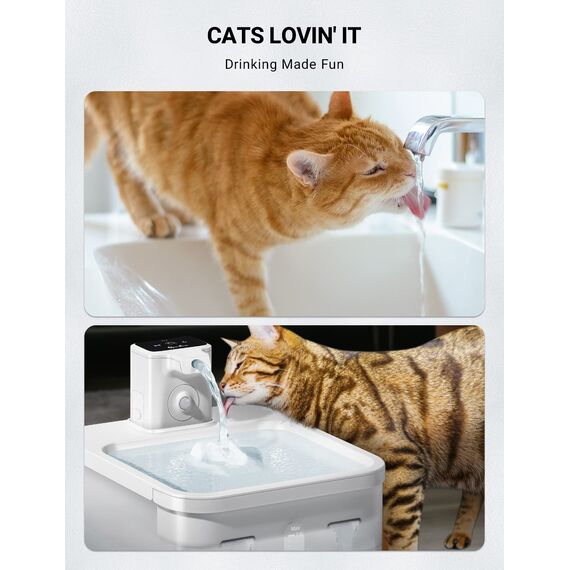 DownyPaws Katzen-Wasserbrunnen-Filter 12 STK.