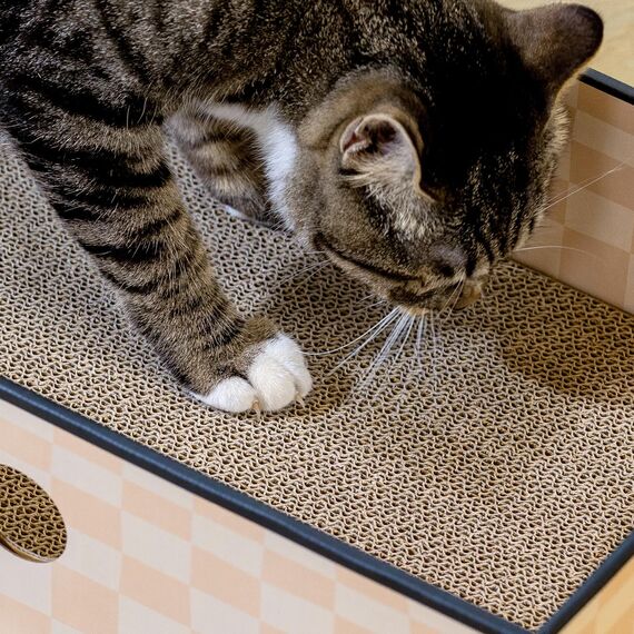 Conlun Katzen Kratzbrett mit Box, Großes Kratzmöbel, Beidseitige Kratzpappe für Katzen, Interaktive Öffnungen, Kratzbett für Wohnungskatzen, mit Katzenminze (1 Stück, Groß, Kariert)