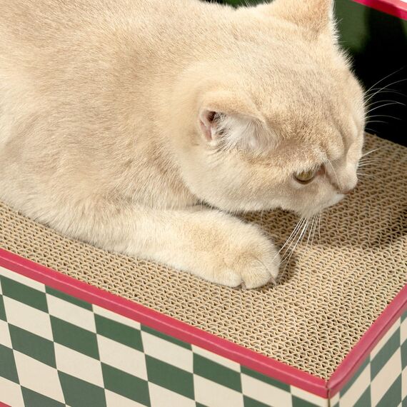 Conlun Katzen Kratzbrett mit Box, Großes Kratzmöbel, Beidseitige Kratzpappe für Katzen, Interaktive Öffnungen, Kratzbett für Wohnungskatzen, mit Katzenminze (1 Stück, Groß, Grün Kariert)