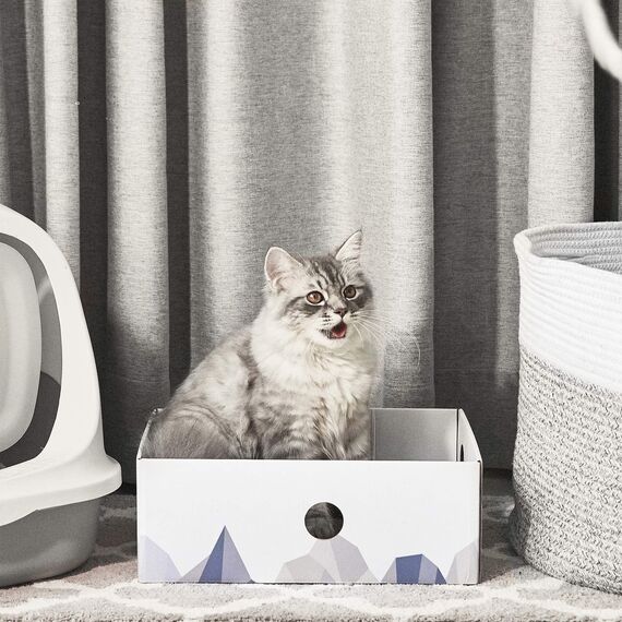 Conlun 5er-Pack Kratzbrett Katze mit Box, Beidseitige Kratzpappe für Katzen, Interaktive Öffnungen, Möbel-Schutz, Langlebig & Stabil (Mittel, Weiß)