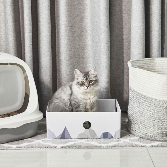 Conlun Katzen Kratzbrett mit Box, Großes Kratzmöbel, Beidseitige Kratzpappe für Katzen, Interaktive Öffnungen, Kratzbett für Wohnungskatzen, mit Katzenminze (2 Stück, Groß, Weiß)