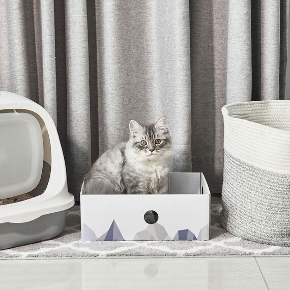 Conlun 5er-Pack Katzenkratzbox mit Katzenkratzpad, Großes Beidseitiges Design, Interaktive Öffnungen, Sauber & Langlebig, Kratzpappe für Katzen, Möbelschutz (Groß, Weiß)
