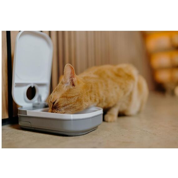 Cat Mate C100 Automatischer Einzelfutterautomat mit Timer-Steuerung – Geeignet für Katzen und Kleine Hunde, Für Nass- oder Trockenfutter, Fassungsvermögen Bis zu 400 g, Weiß