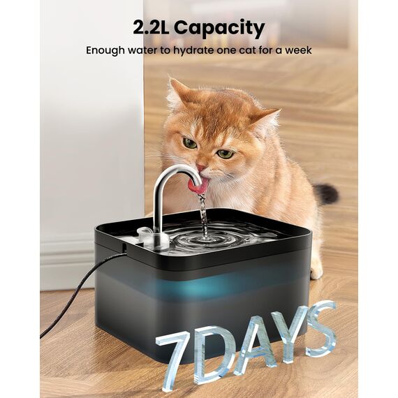 PawPoll Katzenbrunnen, 2,2L Trinkbrunnen für Katze, Super Leiser, Leicht zu Reinigen, Wasserbrunnen für Katzen mit LED und Aktivkohlefilter, BPA Frei, 6 Filter + 3 Schaumstofffilter