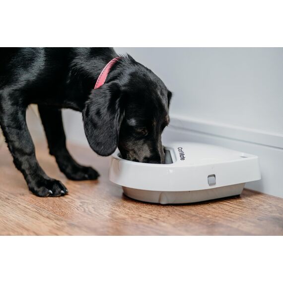 Cat Mate C300 Automatischer 3-Mahlzeiten-Futterautomat mit Digitalem Timer (366) – Für Katzen oder Kleine Hunde, Für Nass- und Trockenfutter, Mahlzeiten Bis zu 330 g Pro Stück, Weiß
