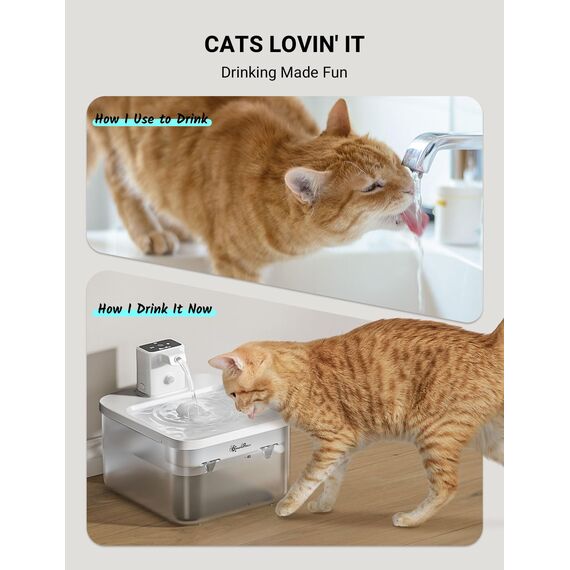 DownyPaws Katzenbrunnen Filter 6er Pack für Fursink Trinkbrunnen für Katze WFP6, 2-Monats-Set Ersatzfilter für Katzentrinkbrunnen