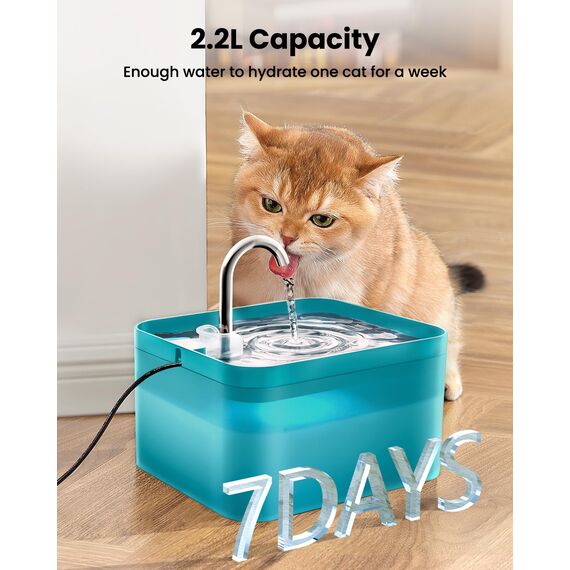 PawPoll Katzenbrunnen, 2,2L Trinkbrunnen für Katze, Super Leiser, Wasserhahn-Design Wasserbrunnen für Katzen mit LED und Aktivkohlefilter, Leicht zu Reinigen, BPA Frei (Grün-2,2L)