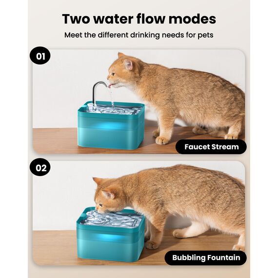PawPoll Katzenbrunnen, 2,2L Trinkbrunnen für Katze, Super Leiser, Wasserhahn-Design Wasserbrunnen für Katzen mit LED und Aktivkohlefilter, Leicht zu Reinigen, BPA Frei (Grün-2,2L)