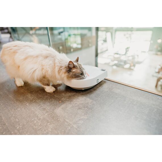 Cat Mate C300 Automatischer 3-Mahlzeiten-Futterautomat mit Digitalem Timer (366) – Für Katzen oder Kleine Hunde, Für Nass- und Trockenfutter, Mahlzeiten Bis zu 330 g Pro Stück, Weiß