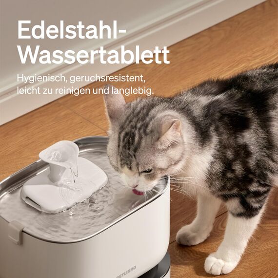 PETLIBRO Katzenbrunnen Kabellos mit Bewegungsmelder Dockstream Trinkbrunnen für Katze Kabellos, Batteriebetrieben Katzen Trinkbrunnen mit Akku 5000mAh, 23dB Ultraleise, Einfache Reinigung, BPA-frei