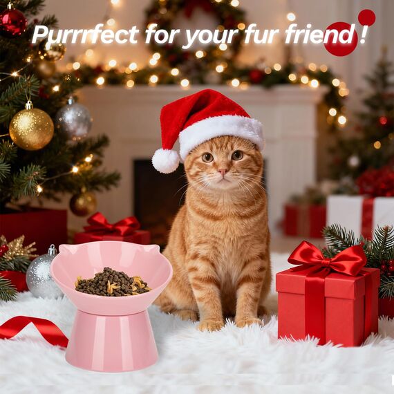 Katzennapf,Futternapf Katze,Katzennapf Erhöht mit 15° Neigung Fressnapf Katze,Anti-Erbrechen Katzennäpfe für Futter und Wasser,Rosa