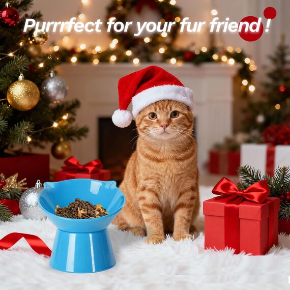 Futternapf Katze,Katzennapf Erhöht mit 15° Neigung Fressnapf Katze,Anti-Erbrechen Katzennäpfe für Futter und Wasser,Haustier Napf für Katzen,Welpen und kleine Hunde,Blau