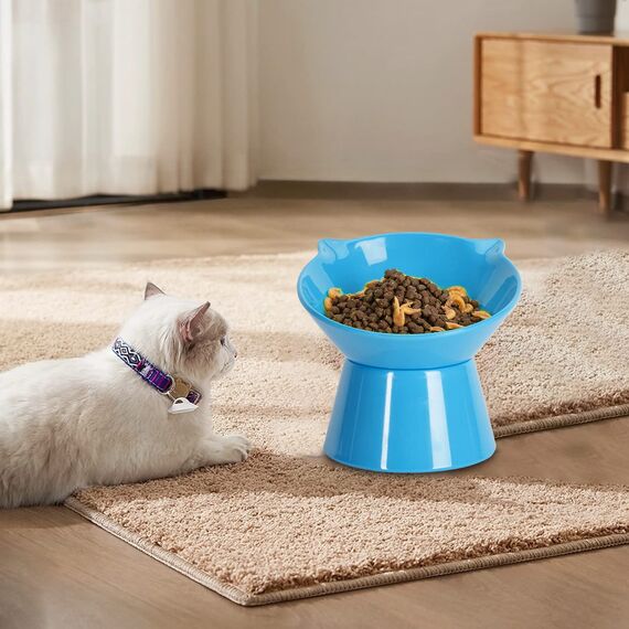 Futternapf Katze,Katzennapf Erhöht mit 15° Neigung Fressnapf Katze,Anti-Erbrechen Katzennäpfe für Futter und Wasser,Haustier Napf für Katzen,Welpen und kleine Hunde,Blau