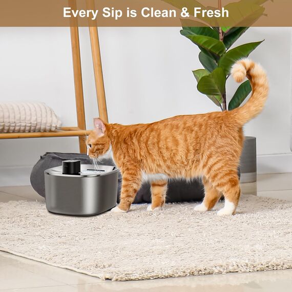 Kigniote 12 Packung Filter Katzenbrunnen für FEELNEEDY 4L Trinkbrunnen für Katzen (YPD-C004), 12 Filter Trinkbrunnen Katzen & 12 Vorgefilterte Schwämme & 12 Schwämme für Wasserpumpe