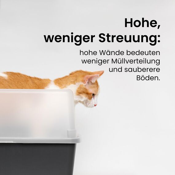 Iris Ohyama Katzenklo offen, bis 7 kg, 2er-Satz, Taupe, ohne Deckel, Katzentoilette, hoher Abnehmbarer Rand, Für große Katzen, Kätzchen, Toilet, XXL Toilette, BPA-frei, Cat Litter Box, CLH-12