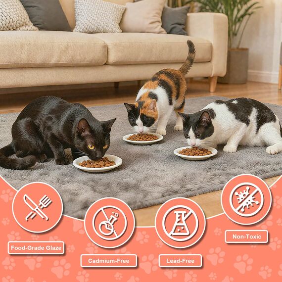 6 Stück Futternapf Katze,Katzennapf Keramik,15 cm Durchmesser, Napf Katze,Katzen Fressnapf,Katzennapf für Haustierkatzen und Welpen(6 Pack-Ohne Silikonbasis)