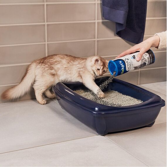 Biokat's Active Pearls - Streuzusatz mit Aktivkohle verbessert Geruchsbindung und Saugfähigkeit der Katzenstreu - 1 Dose (1 x 700 ml)