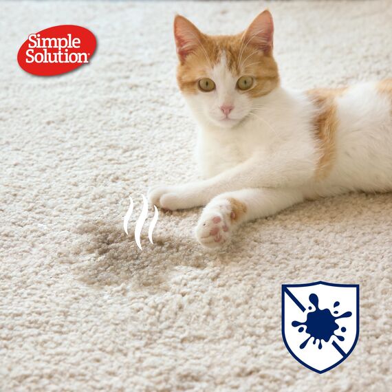 Simple Solution Extreme Cat Stain and Odour Remover | Enzymatischer Reiniger mit 3X Pro-Bakterien Reinigungskraft - 4 x Packung (2Ltr)