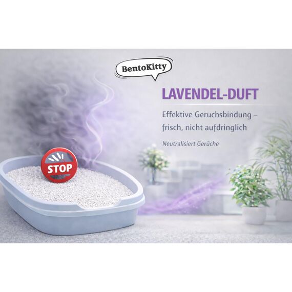 BentoKitty Katzenstreu (30L, 3er Pack) mit Lavendel Duft, Klumpend, weiß, feinkörnig, Klumpstreu aus Bentonite, für Sensitive Katzenpfoten geeignet, Saugstark, Geruchsbindend
