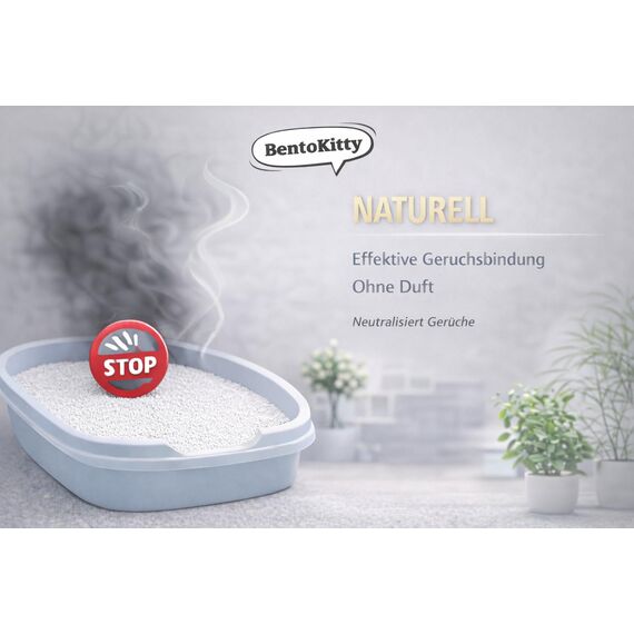 BentoKitty Katzenstreu (10L, 1er Pack) Naturell, Klumpend, weiß, feinkörnig, Klumpstreu aus Bentonite, für Sensitive Katzenpfoten geeignet