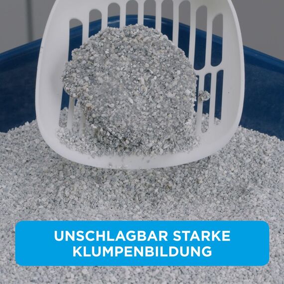 Ever Clean Katzenstreu, Lavendelduft, 10 l