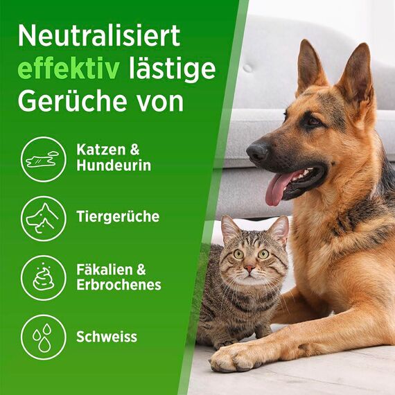 PRINOX 2x Geruchsneutralisierer 580 ml - Enzymreiniger Konzentrat - Geruchsentferner gegen alle Gerüche, wie Katzenurin Geruch auf Sofa, Sessel, Matratze, Auto, Matratze