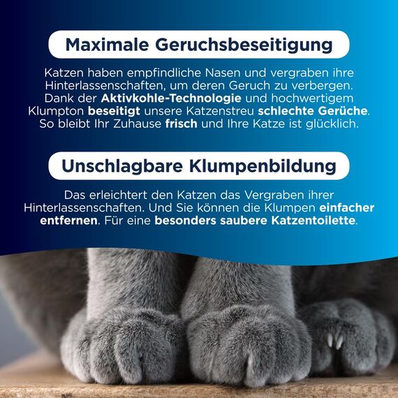 Ever Clean Senior Cat, Klumpstreu für Katzen 20 L