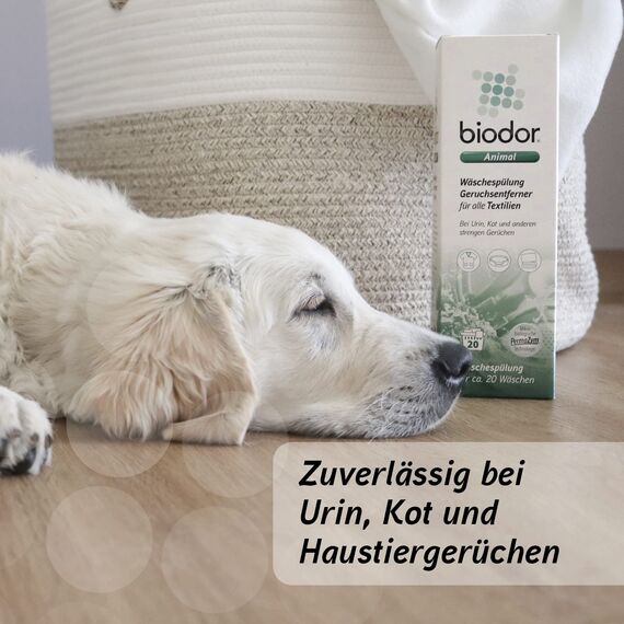 Biodor Animal Wäschespülung 1L - Geruchsneutralisierer, Geruchsentferner & Reiniger für die Tierumgebung - Enzymreiniger Urin, Kot & anderen strengen Gerüchen - Fleckenentferner & Reinigung