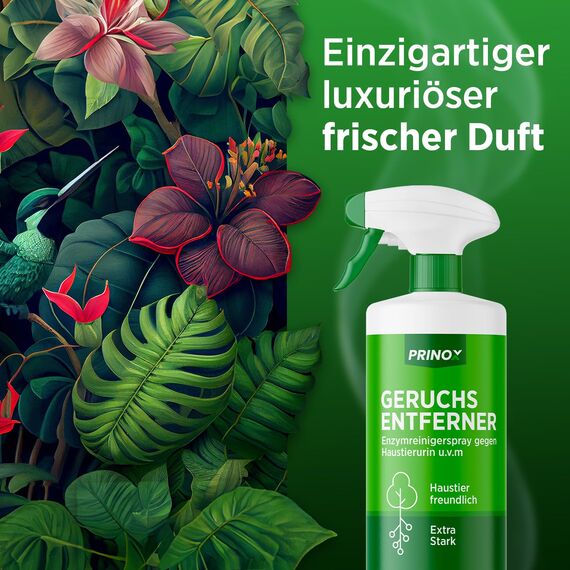PRINOX 2x Geruchsneutralisierer 580 ml - Enzymreiniger Konzentrat - Geruchsentferner gegen alle Gerüche, wie Katzenurin Geruch auf Sofa, Sessel, Matratze, Auto, Matratze