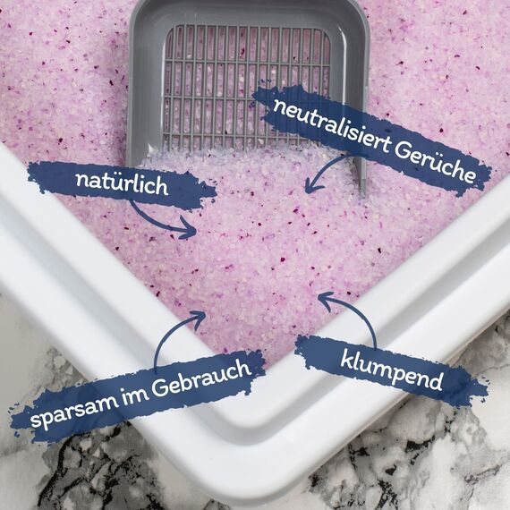 Lyra Pet® | 12 x 5 L = 60 L Lyra Power Clumping Silica Silikat Katzenstreu | Stark Klumpend | Saubere Wohnung | Neutralisiert den Geruch | Staubfrei | Sparsam im Gebrauch | Nachfüllen statt Neufüllen