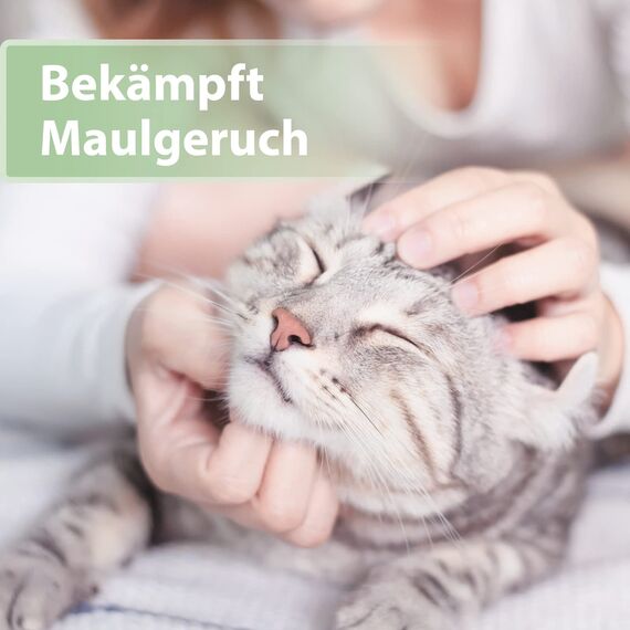 Felisept Zahnpflege Finger-Pads für Katzen 50 Stück - Fingerlinge für effektive Katzen Zahnpflege, Mundhygiene & frischen Atem, Reduziert Plaque, Zahnreiniger Katze