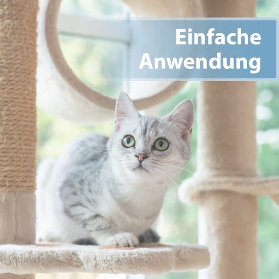 Felisept Ohrpflege Finger-Pads für Katzen 50 Stück - Pflege & Hygiene für Katzenohren, Fingerlinge zur praktischen & intutiven Reinigung, Ohrreiniger für Katzen, Ohrmilben Katze - Kitten Pflege