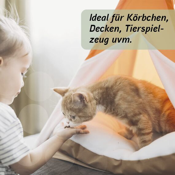Biodor Animal Spray 150ml - Geruchsneutralisierer, Geruchsentferner & Reiniger für die Tierumgebung - Enzymreiniger Urin, Kot & anderen strengen Gerüchen - Hundeurin, Katzenurin Geruchsentferner
