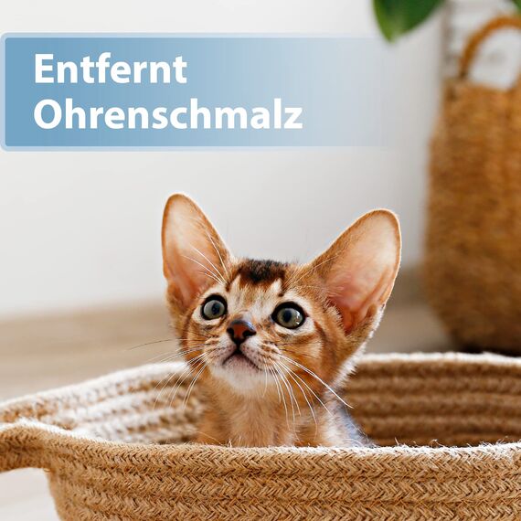 Felisept Ohrpflege Finger-Pads für Katzen 50 Stück - Pflege & Hygiene für Katzenohren, Fingerlinge zur praktischen & intutiven Reinigung, Ohrreiniger für Katzen, Ohrmilben Katze - Kitten Pflege