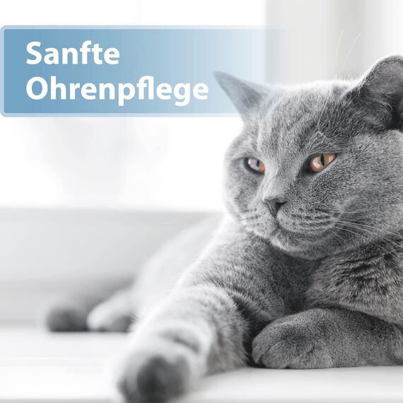 Felisept Ohrpflege Finger-Pads für Katzen 50 Stück - Pflege & Hygiene für Katzenohren, Fingerlinge zur praktischen & intutiven Reinigung, Ohrreiniger für Katzen, Ohrmilben Katze - Kitten Pflege