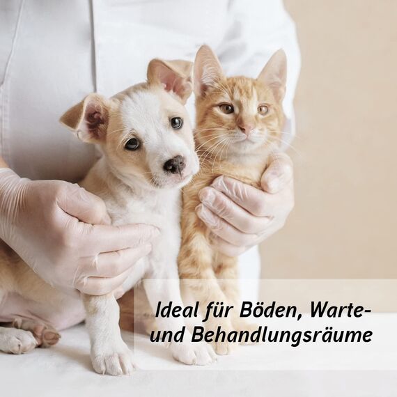 Biodor Animal Konzentrat 1L - Geruchsneutralisierer, Geruchsentferner & Reiniger für die Tierumgebung - Enzymreiniger Urin, Kot & anderen strengen Gerüchen - Hundeurin, Katzenurin Geruchsentferner