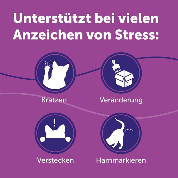 FELIWAY Classic 3x30 Tage Vorteilspack für Pheromon Verdampfer, 3x48ml - Hilft Anzeichen von Stress bei Katzen und Kitten zu reduzieren, von Tierärzten empfohlen, klinisch getestet