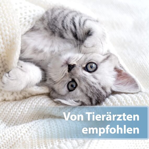 Felisept Ohrpflege Finger-Pads für Katzen 50 Stück - Pflege & Hygiene für Katzenohren, Fingerlinge zur praktischen & intutiven Reinigung, Ohrreiniger für Katzen, Ohrmilben Katze - Kitten Pflege