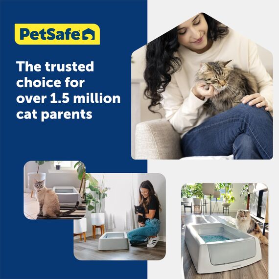 PetSafe - ScoopFree Premium Nicht-Klumpende Kristall-Katzenstreu - Geruchskontrolle, Haftet Nicht an den Pfoten, Staubfrei - Lavendel, 2-Pack