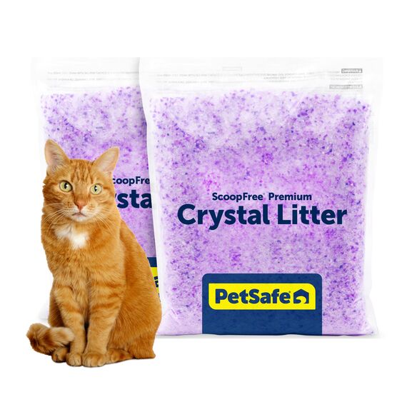 PetSafe - ScoopFree Premium Nicht-Klumpende Kristall-Katzenstreu - Geruchskontrolle, Haftet Nicht an den Pfoten, Staubfrei - Lavendel, 2-Pack
