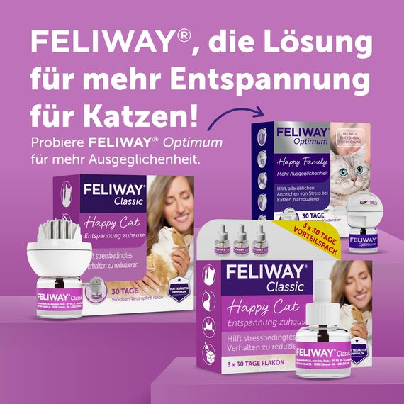 FELIWAY Classic 3x30 Tage Vorteilspack für Pheromon Verdampfer, 3x48ml - Hilft Anzeichen von Stress bei Katzen und Kitten zu reduzieren, von Tierärzten empfohlen, klinisch getestet