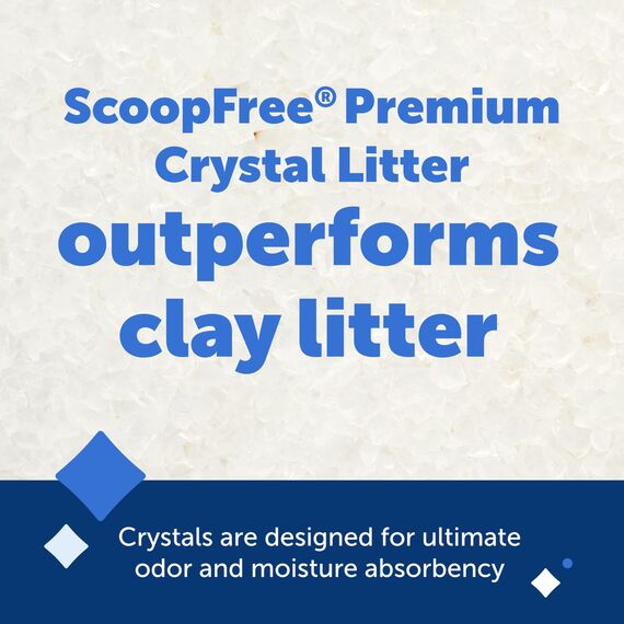 PetSafe ScoopFree Premium Nicht-Klumpende Kristall-Katzenstreu - Geruchskontrolle, Haftet Nicht an den Pfoten, Staubfrei - Geruchsneutral, 2-Pack