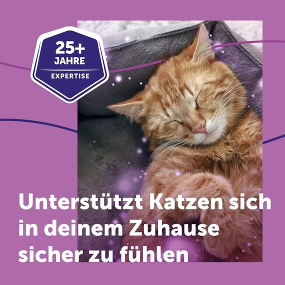 FELIWAY Classic 30 Tage Nachfüllflakon für den Pheromon Verdampfer, 48ml - Hilft Anzeichen von Stress bei Katzen und Kitten zu reduzieren, von Tierärzten empfohlen, klinisch getestet