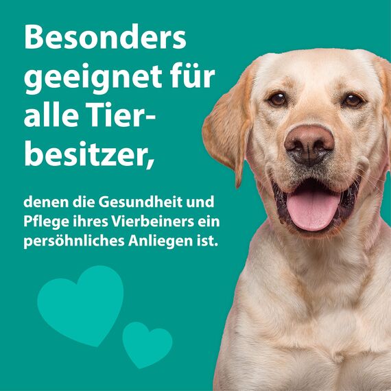 emmi-pet 1x Orozyme Zahnpflege-Gel für Hunde & Katzen mit Selbstreinigungsfunktion I Zahnpasta für effektive Maulhygiene I Hundezahnpasta gegen Zahnstein, Mundgeruch & für die optimale Balance
