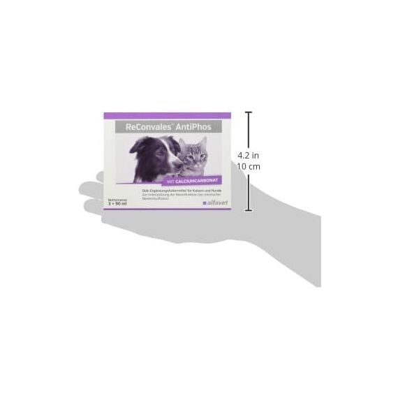Alfavet ReConvales AntiPhos, zur Unterstützung der Nierenfunktion von Katzen und Hunden, Nahrungsergänzung mit Phosphatbinder, 3 x 90 ml Flaschen